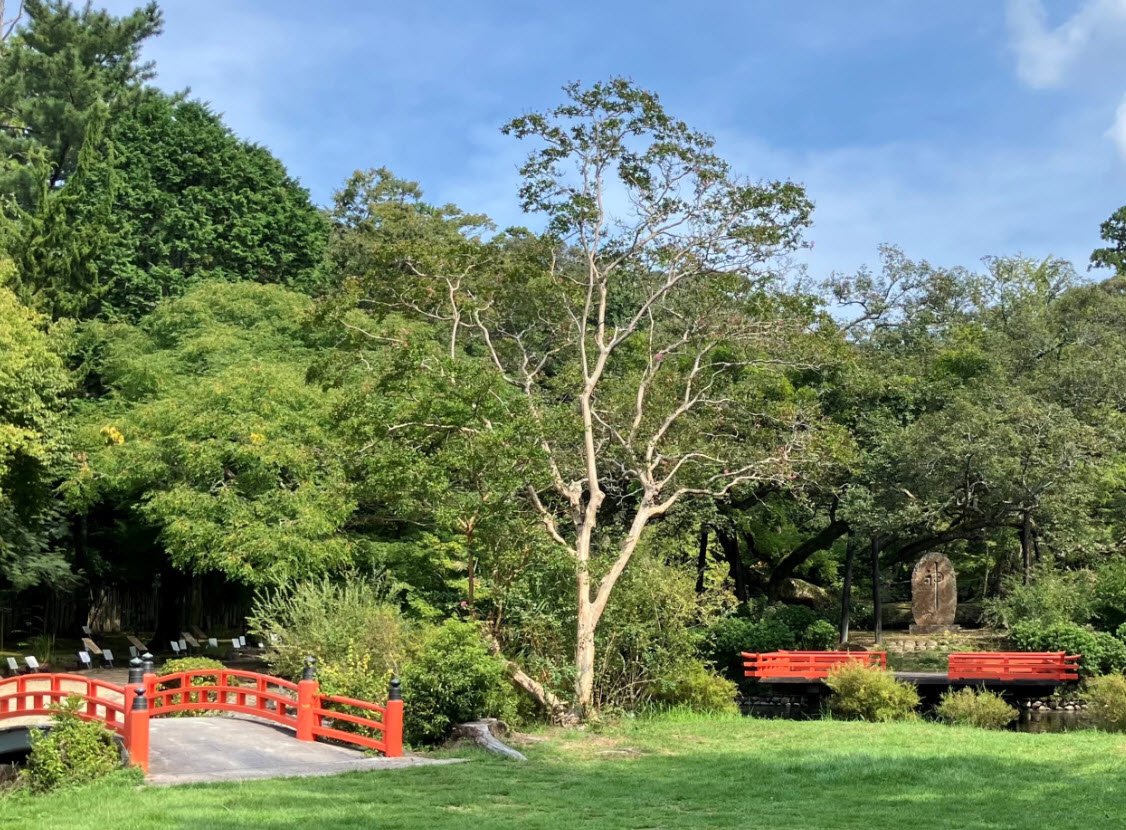 Manyo Botanical Gardens, Nara, Japan, Japan